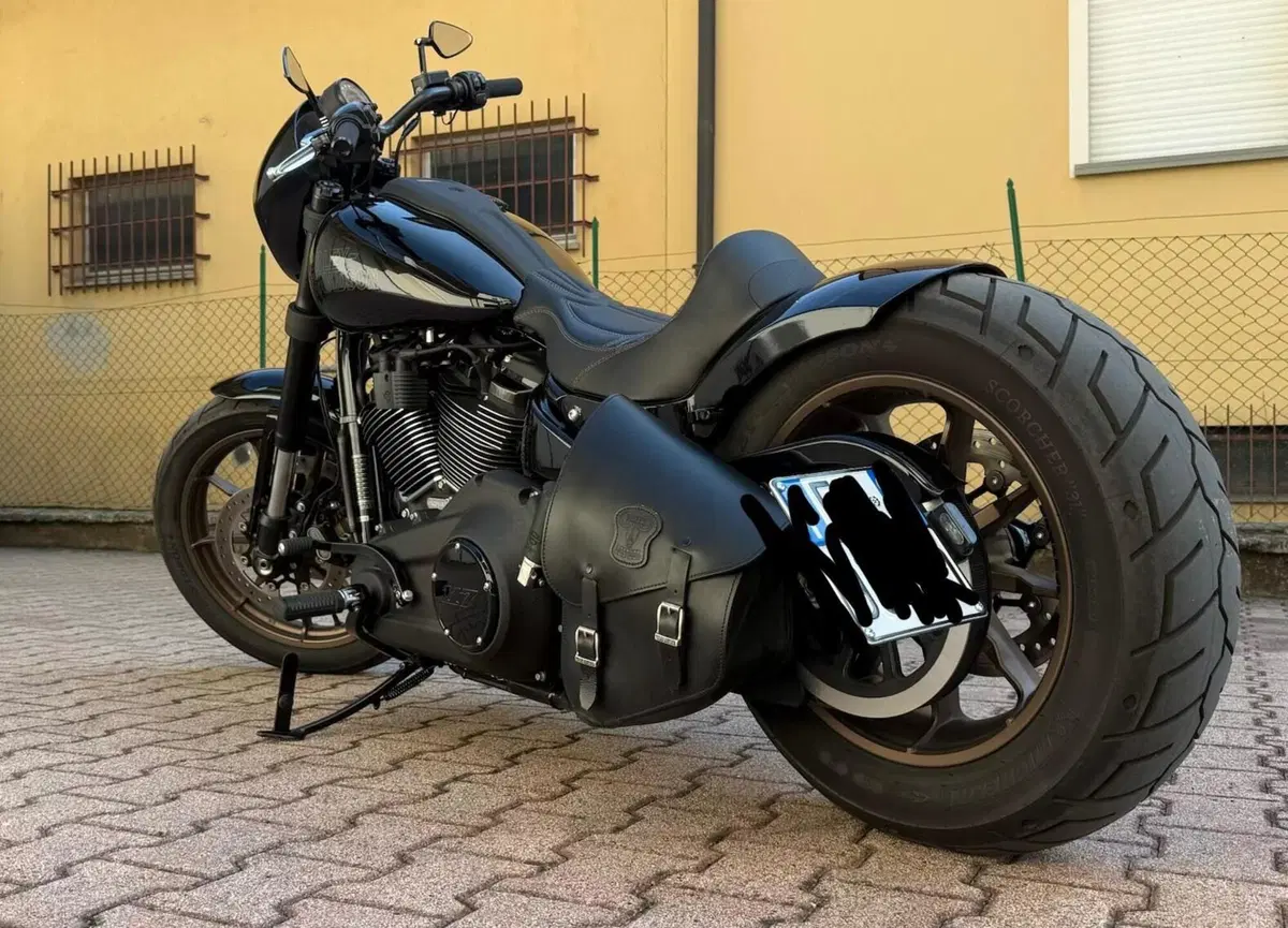 Harley-Davidson 114 Low Rider S (2021) - FXLRS (3)