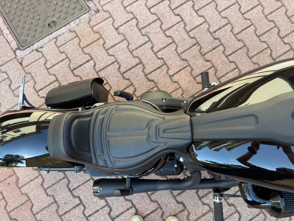Harley-Davidson 114 Low Rider S (2021) - FXLRS (5)