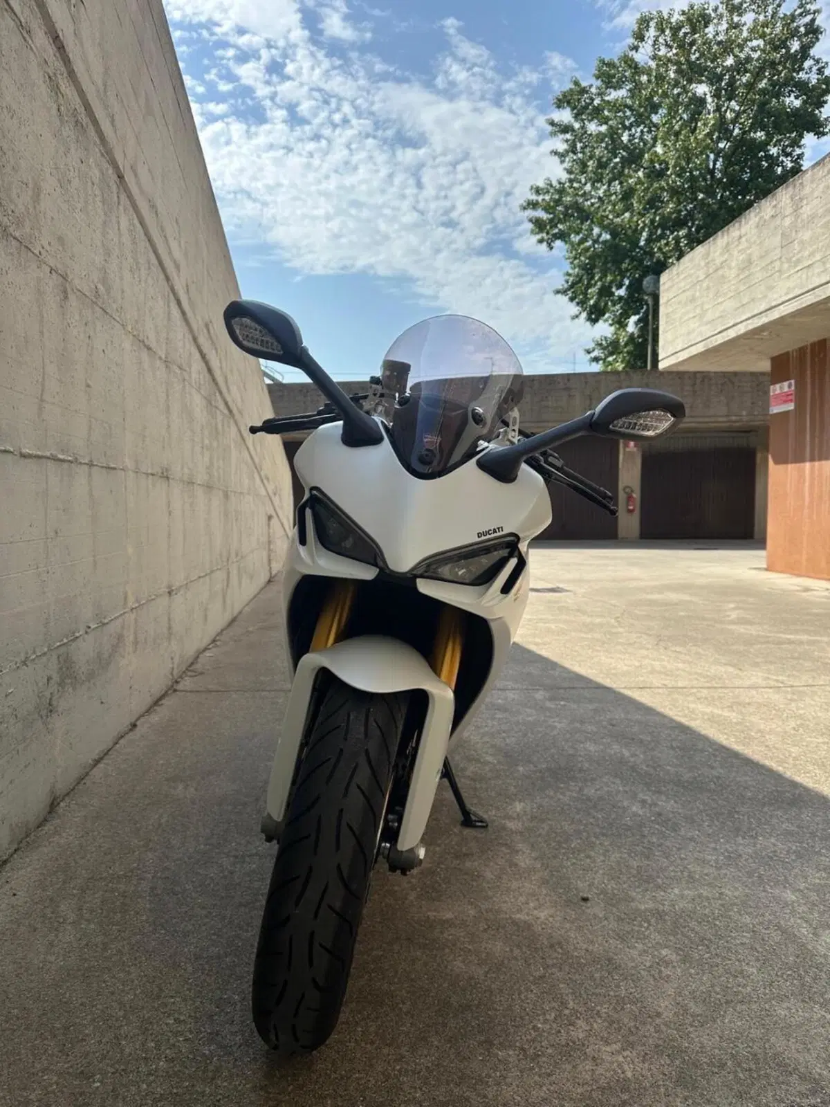 Ducati SuperSport 950 S (2021 - 24) (7)