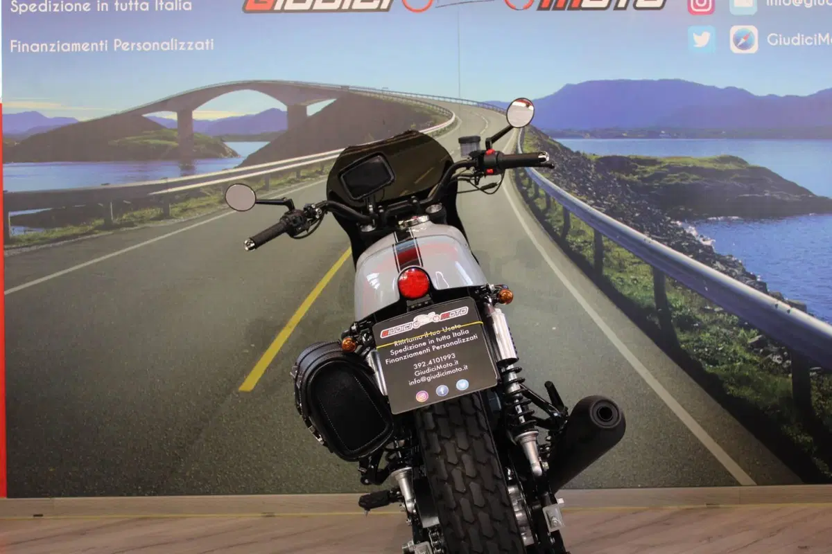 Mash Italia Dirt Track 650 (2019 - 20) (16)