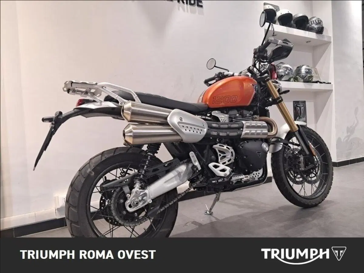Triumph Scrambler 1200 XE (2024 - 25) (7)