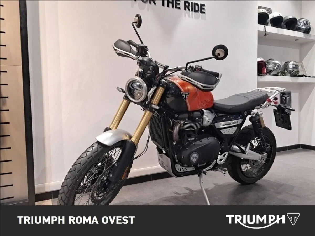 Triumph Scrambler 1200 XE (2024 - 25) (11)