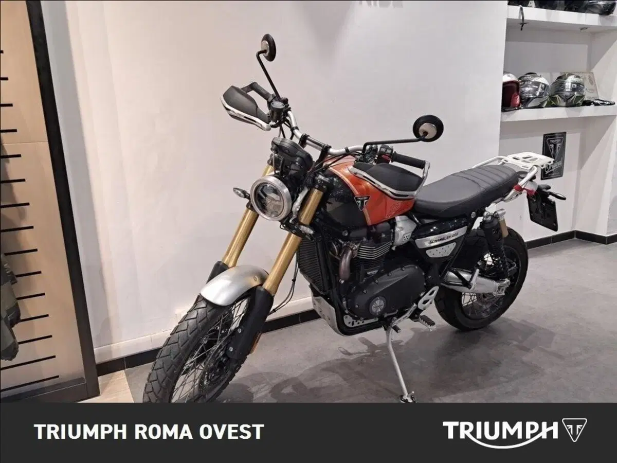 Triumph Scrambler 1200 XE (2024 - 25) (10)