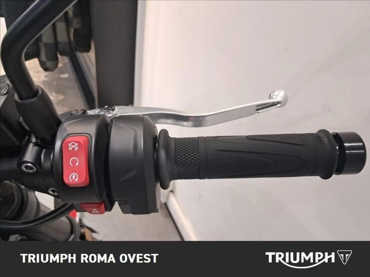 Triumph Trident 800 (2026) (10)