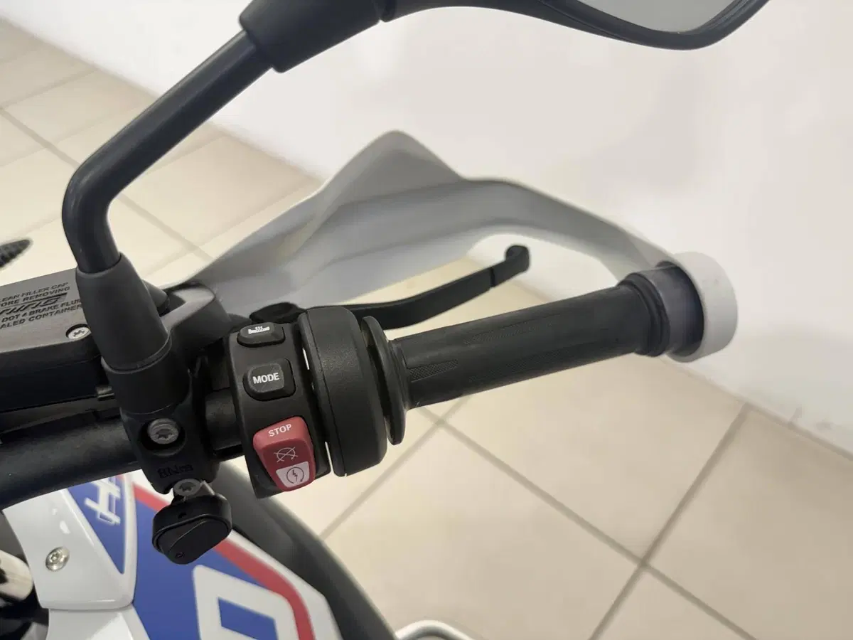 Bmw R 1250 GS (2019 - 20) (11)