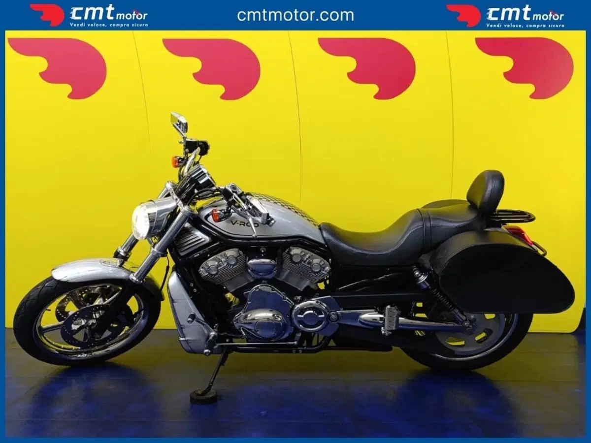 Harley-Davidson 1130 V-ROD (2002 - 05) - VRSCB (3)