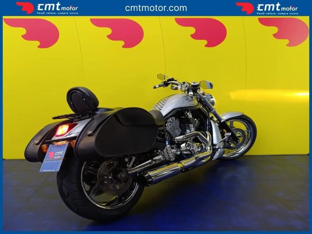 Harley-Davidson 1130 V-ROD (2002 - 05) - VRSCB (4)
