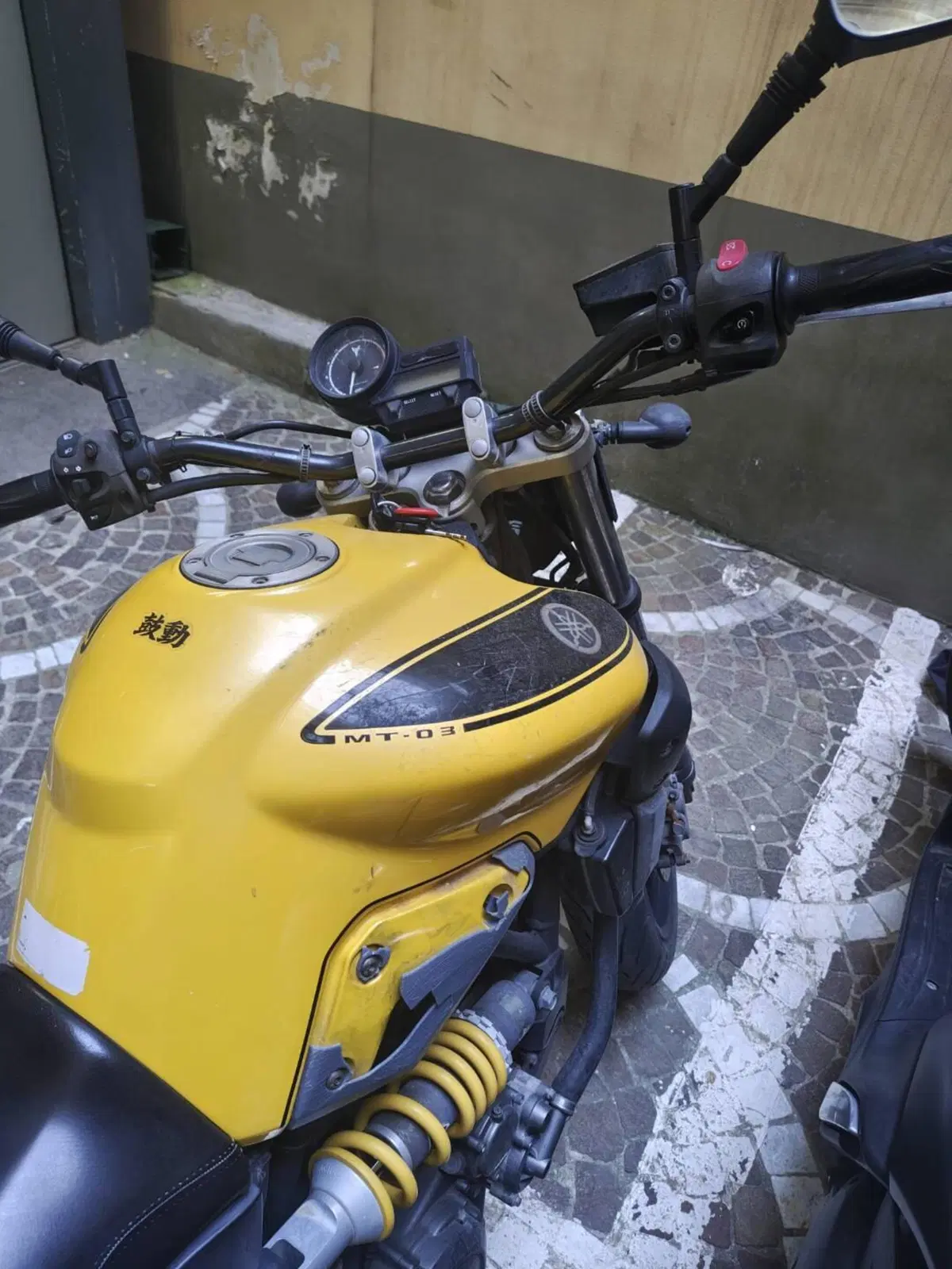 Yamaha MT-03 (2006 - 14) (5)