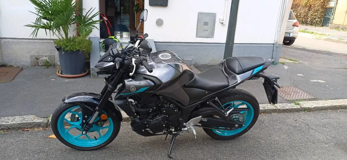 Yamaha MT-03 (2022 - 24) (4)