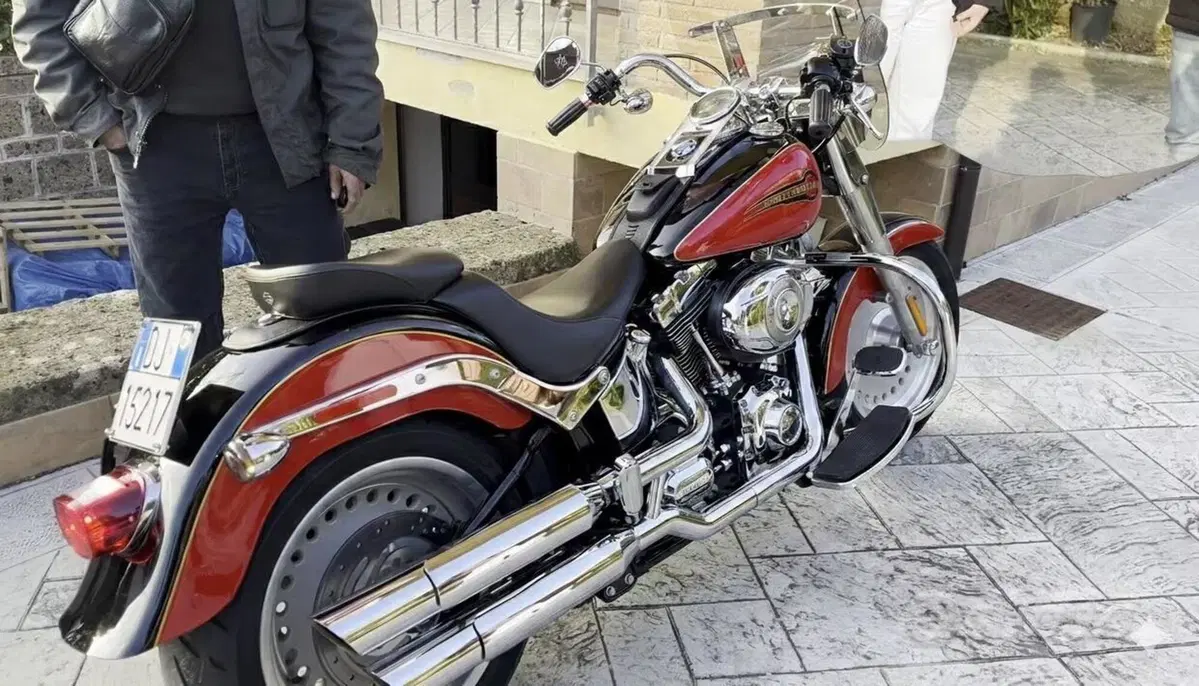 Harley-Davidson 1584 Fat Boy (2008 - 10) - FLSTF (3)
