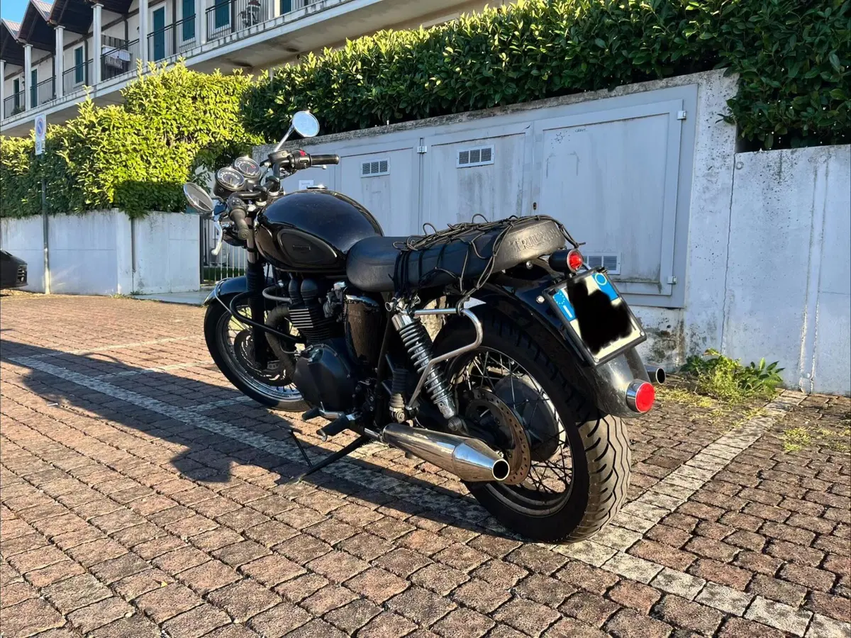 Triumph Bonneville T100 (2008 - 16) (2)