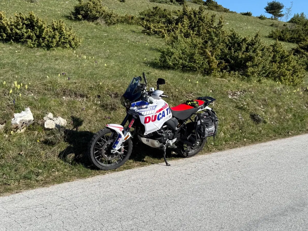 Ducati DesertX (2022 - 25)