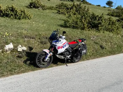 Ducati DesertX (2022 - 25) usata
