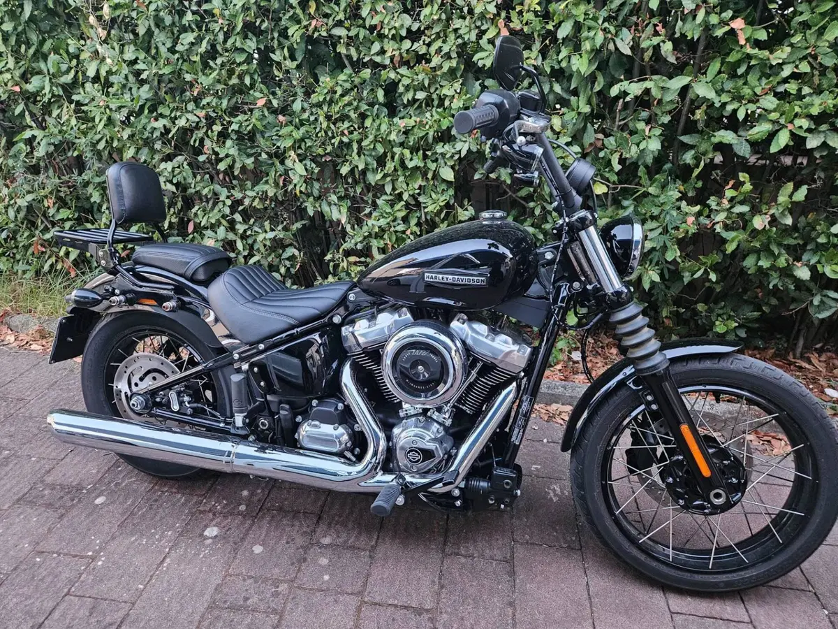 Harley-Davidson Street Bob 117 (2025 - 26)