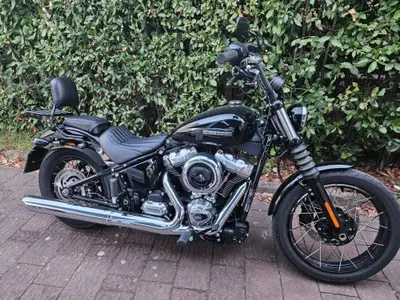 Harley-Davidson Street Bob 117 (2025 - 26) usata