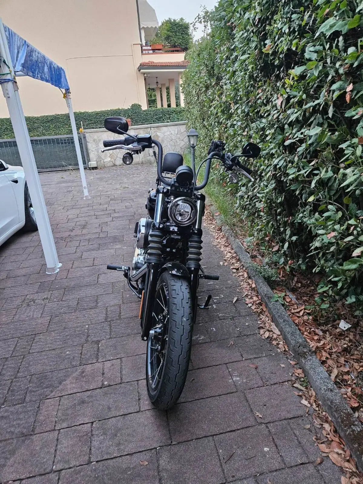 Harley-Davidson Street Bob 117 (2025 - 26) (2)
