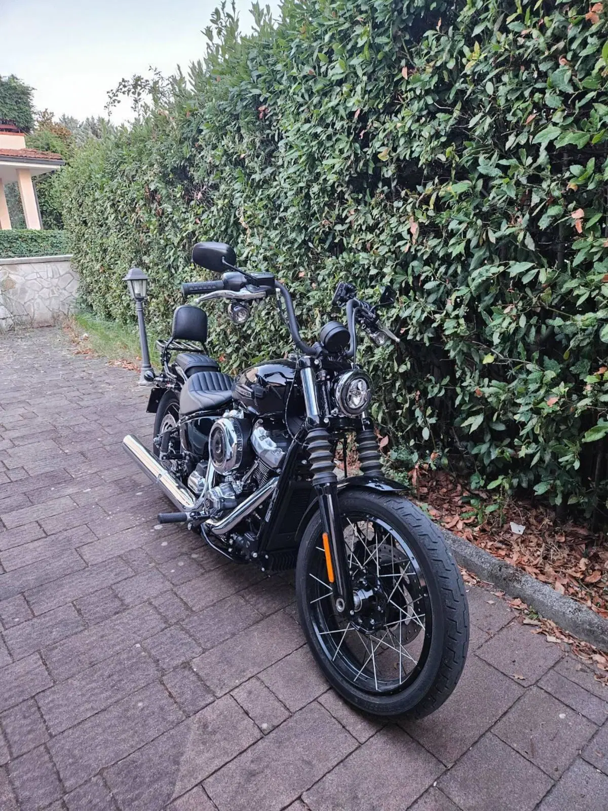 Harley-Davidson Street Bob 117 (2025 - 26) (3)