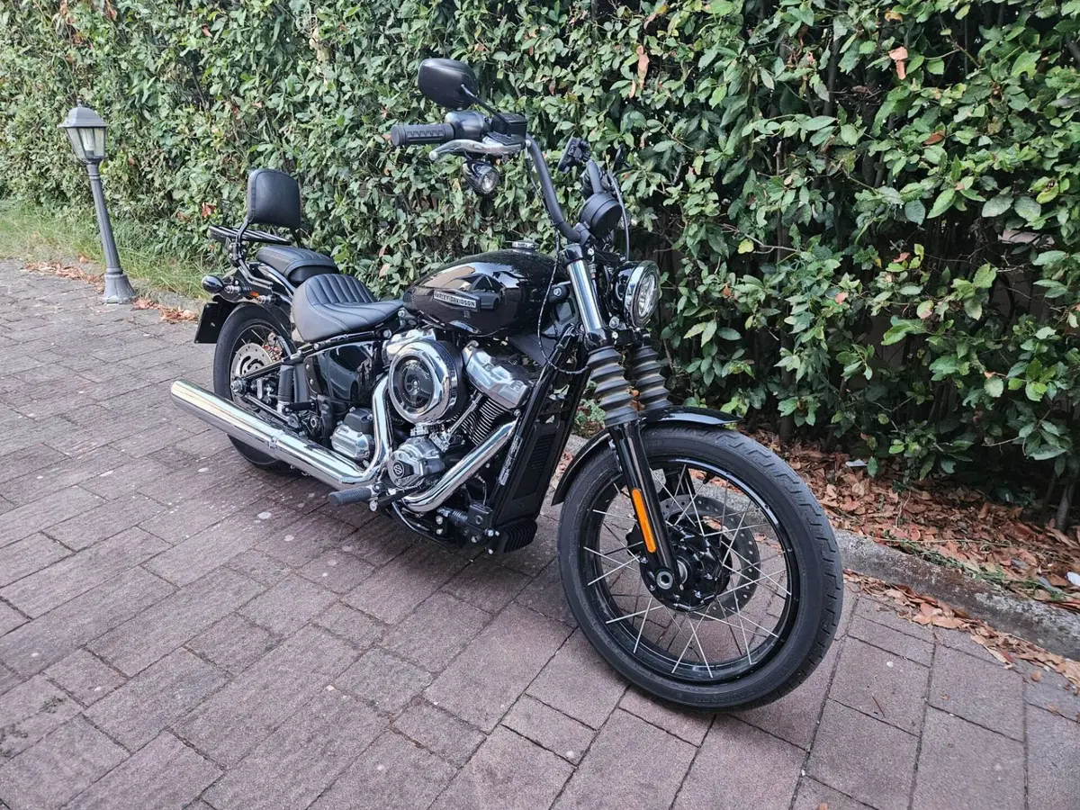 Harley-Davidson Street Bob 117 (2025 - 26) (4)