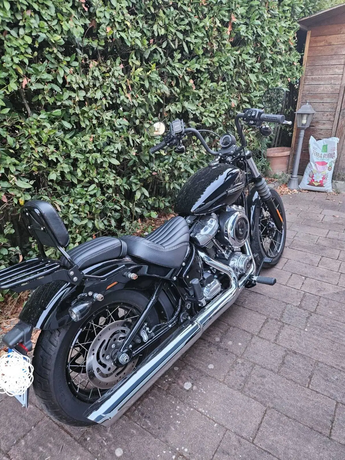 Harley-Davidson Street Bob 117 (2025 - 26) (5)