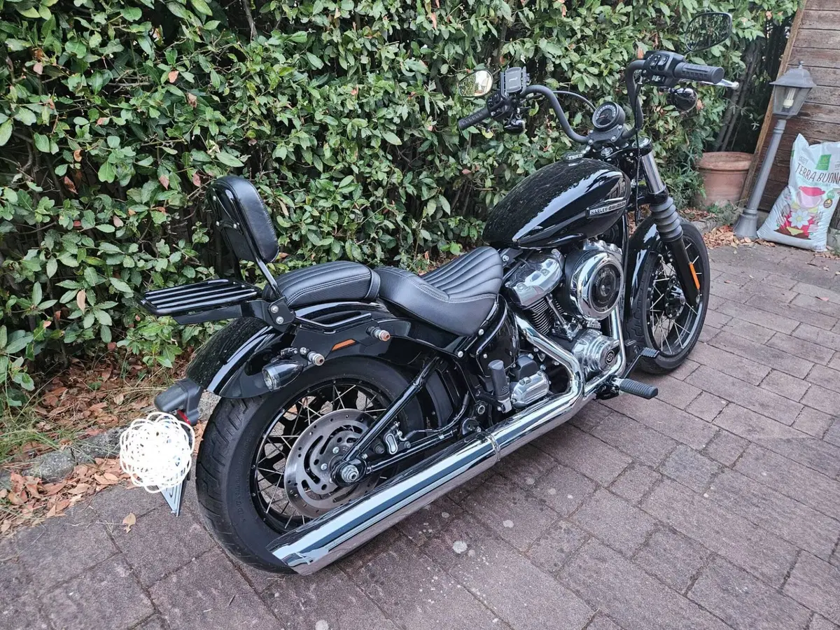 Harley-Davidson Street Bob 117 (2025 - 26) (6)