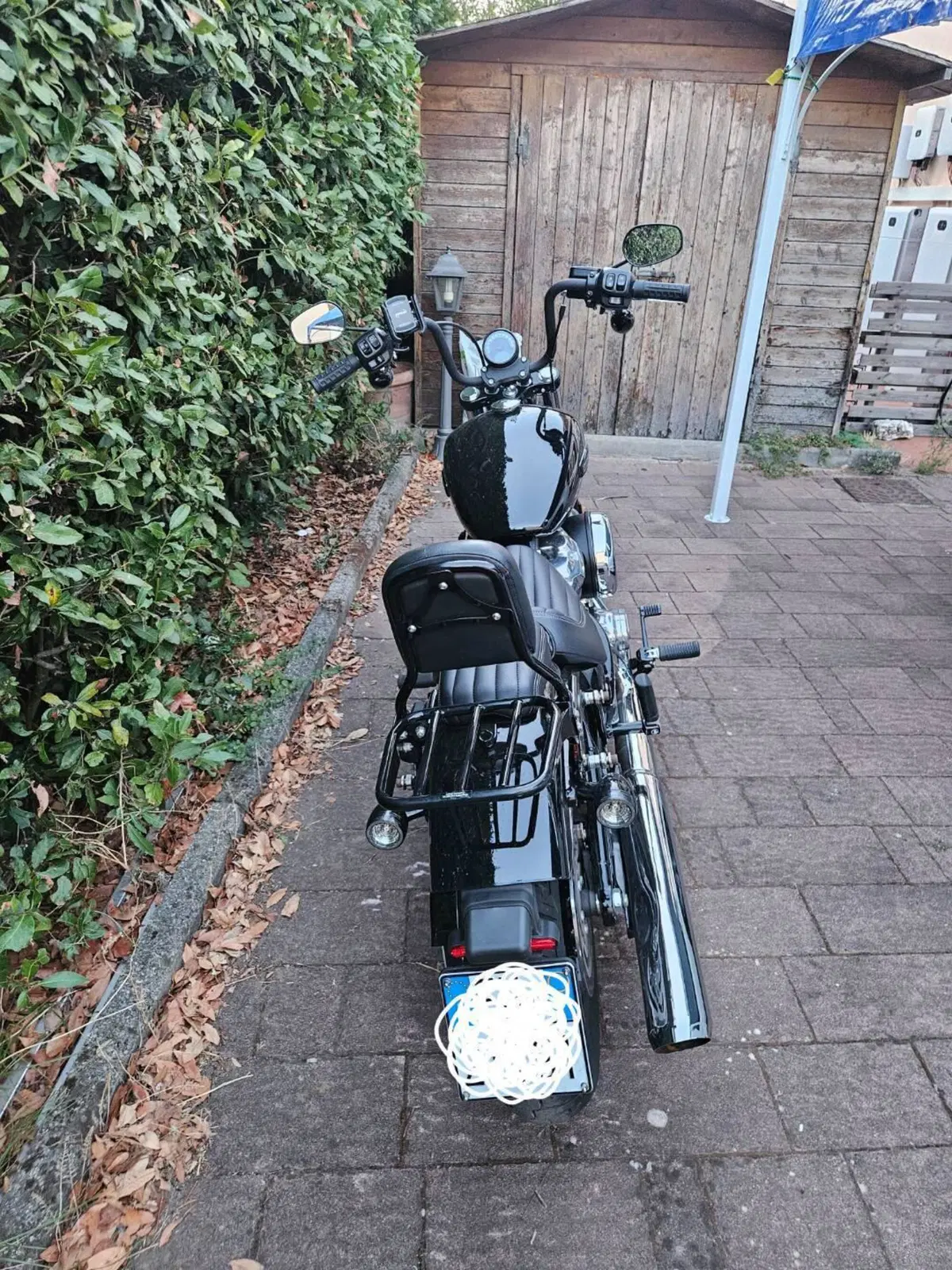 Harley-Davidson Street Bob 117 (2025 - 26) (7)