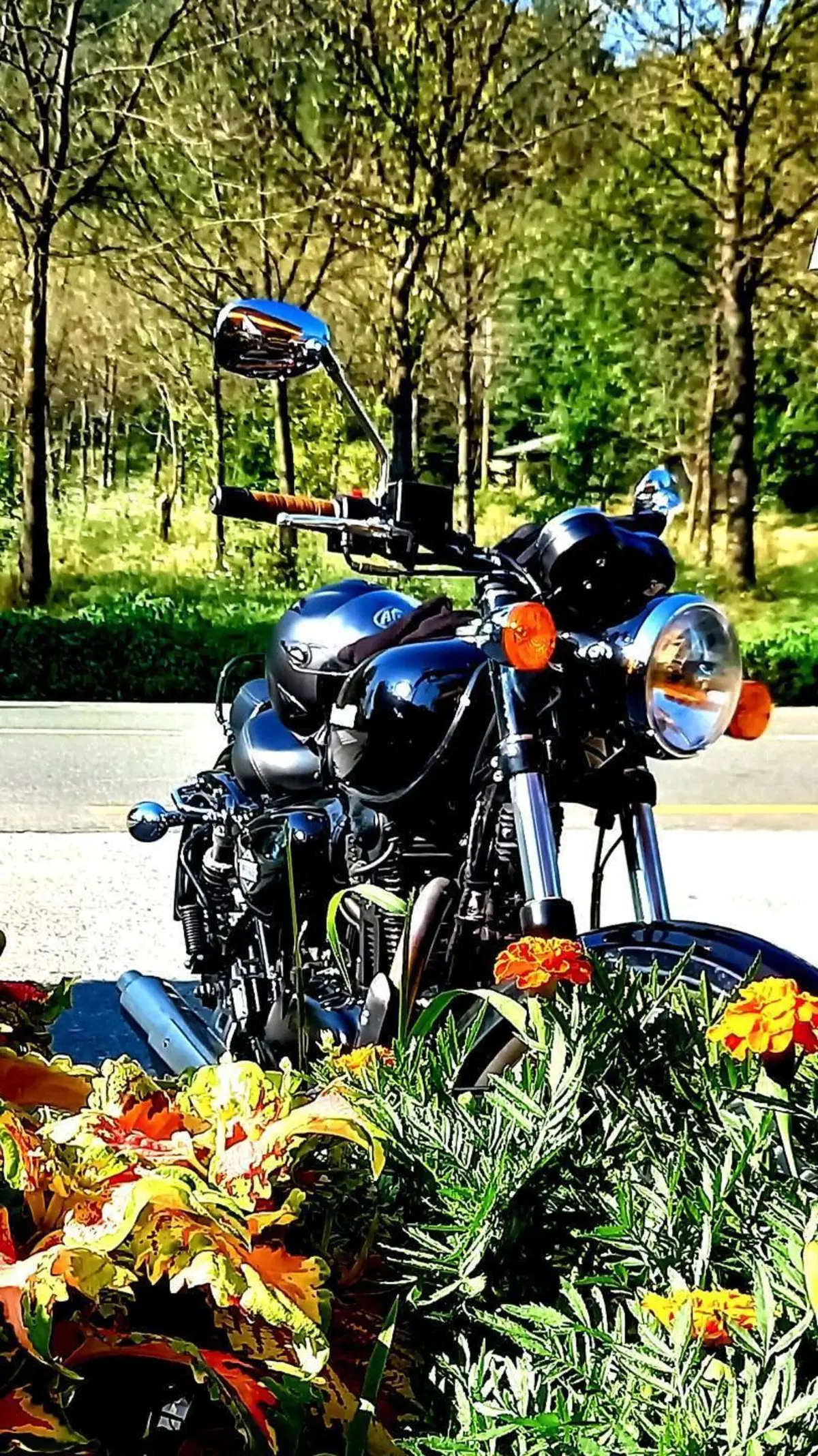 Benelli Imperiale 400 (2021 - 25) (2)