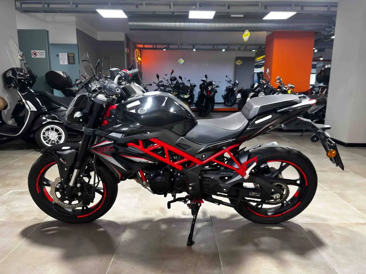 Benelli BN 125 (2021 - 25) (4)