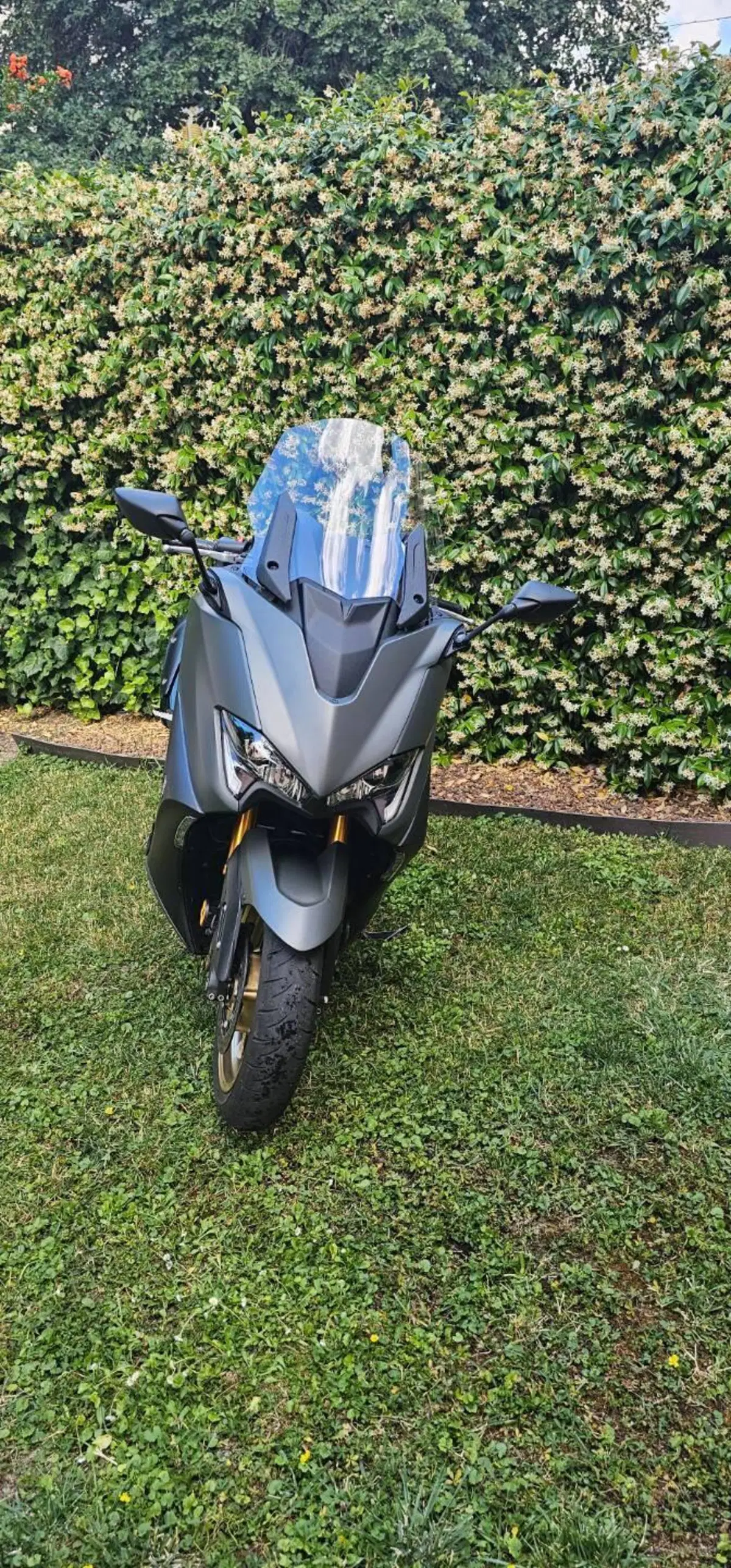 Yamaha T-Max 560 Tech Max (2021) (4)