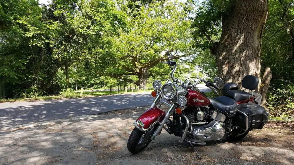Harley-Davidson 1450 Heritage Classic (2003 - 05) - FLSTCI (2)