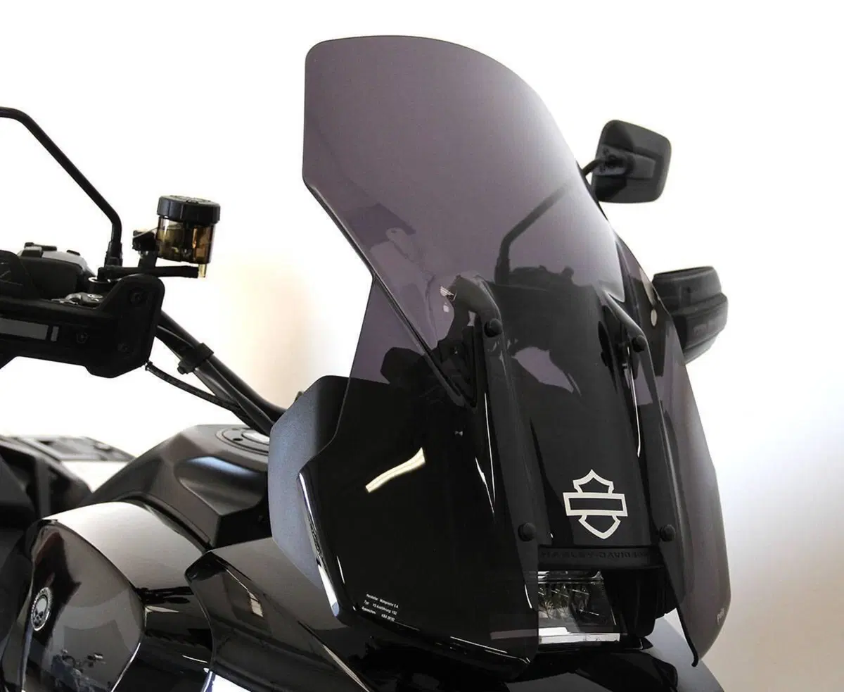 Harley-Davidson Pan America 1250 Special (2020 - 25) (3)