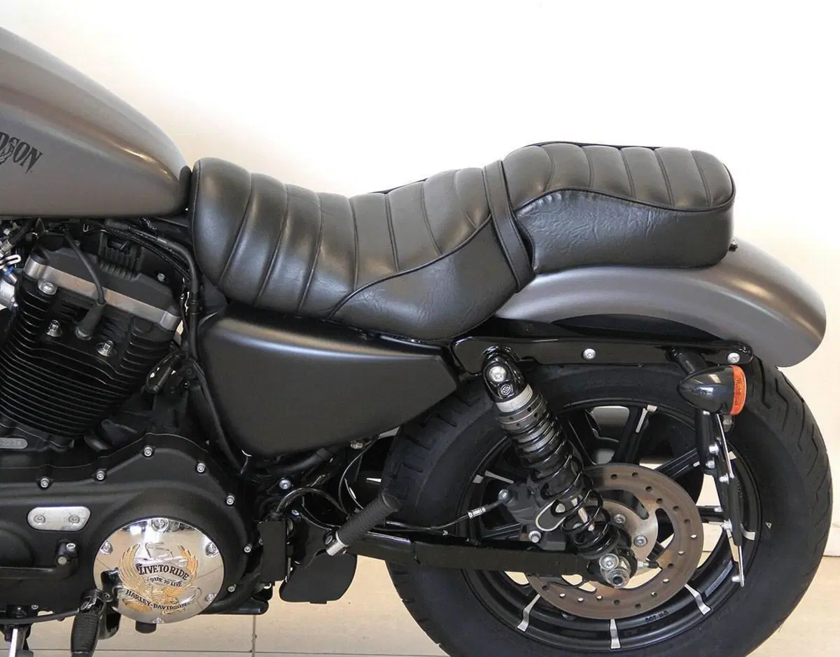 Harley-Davidson 883 Iron (2017 - 20) - XL 883N (11)