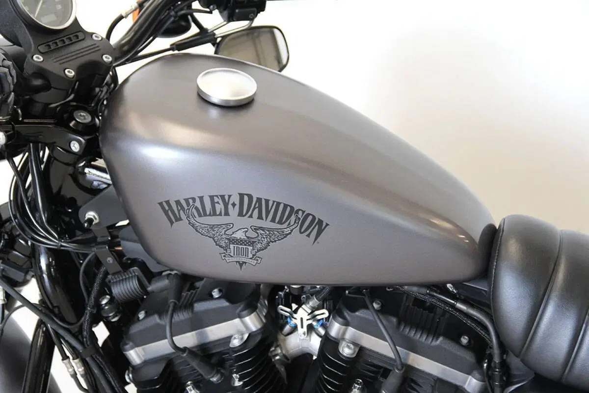 Harley-Davidson 883 Iron (2017 - 20) - XL 883N (16)