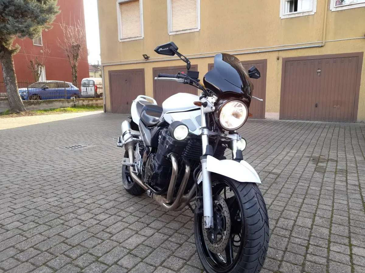 Suzuki GSF 650 Bandit (2005 - 06) (6)