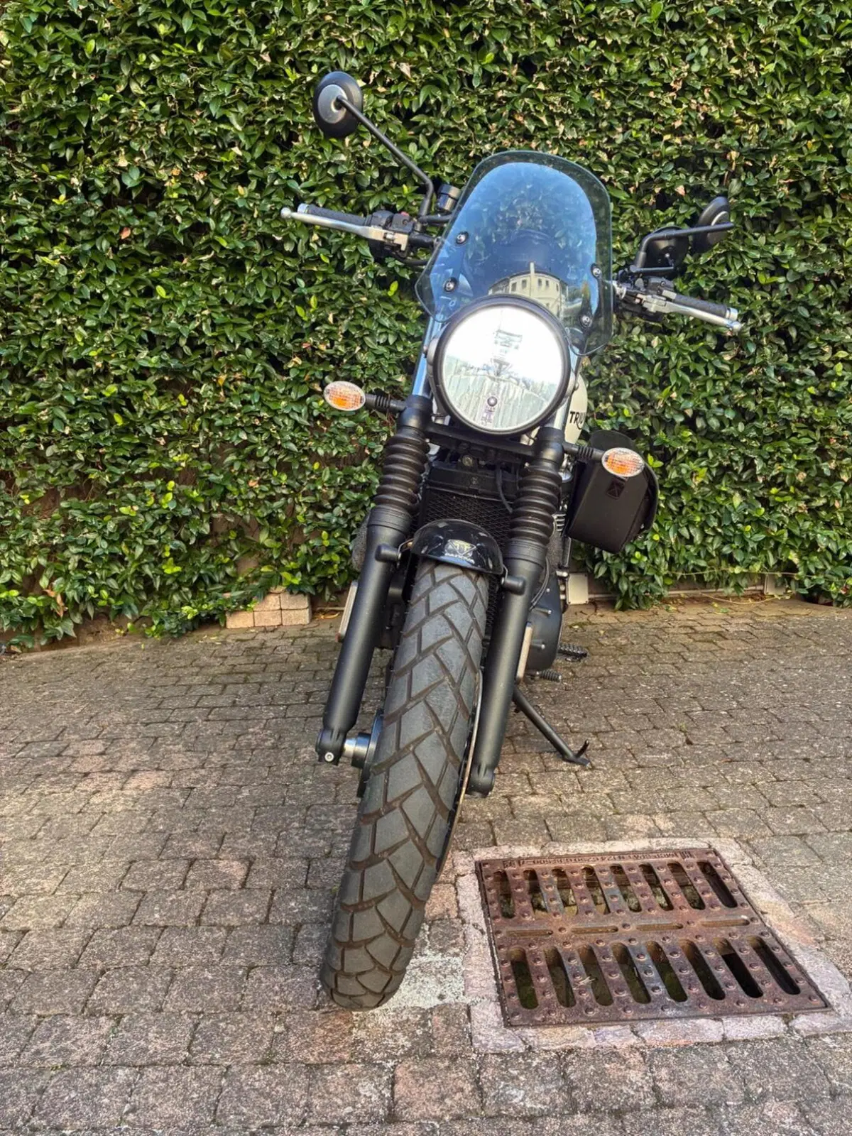 Triumph Street Scrambler 900 (2019 - 20) (2)