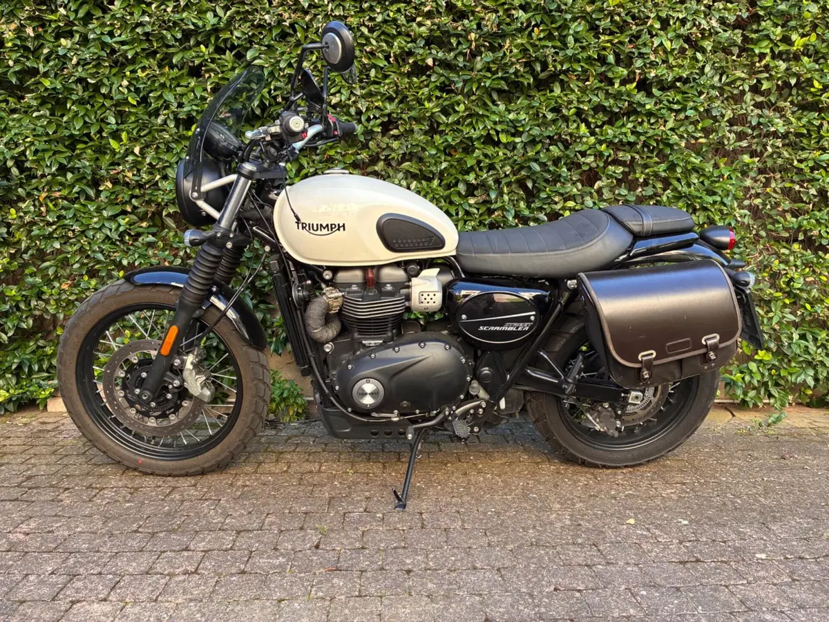 Triumph Street Scrambler 900 (2019 - 20) (3)
