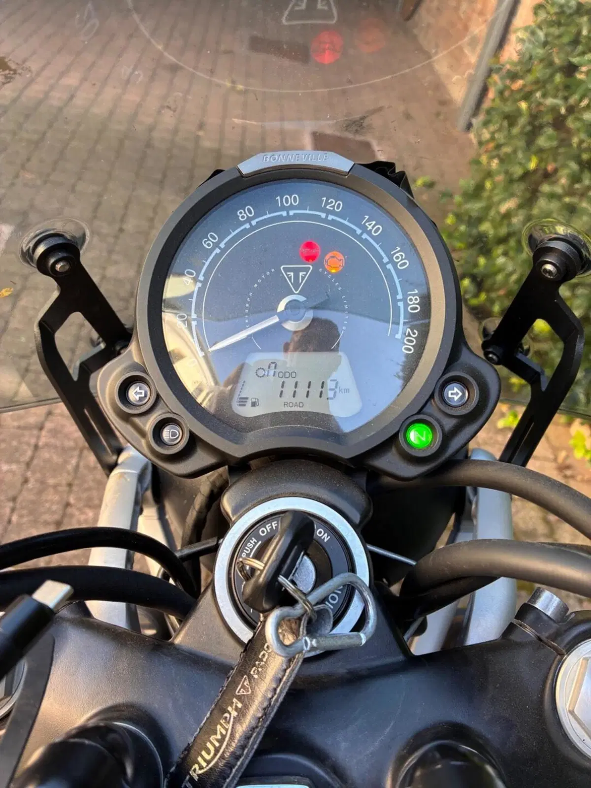 Triumph Street Scrambler 900 (2019 - 20) (4)