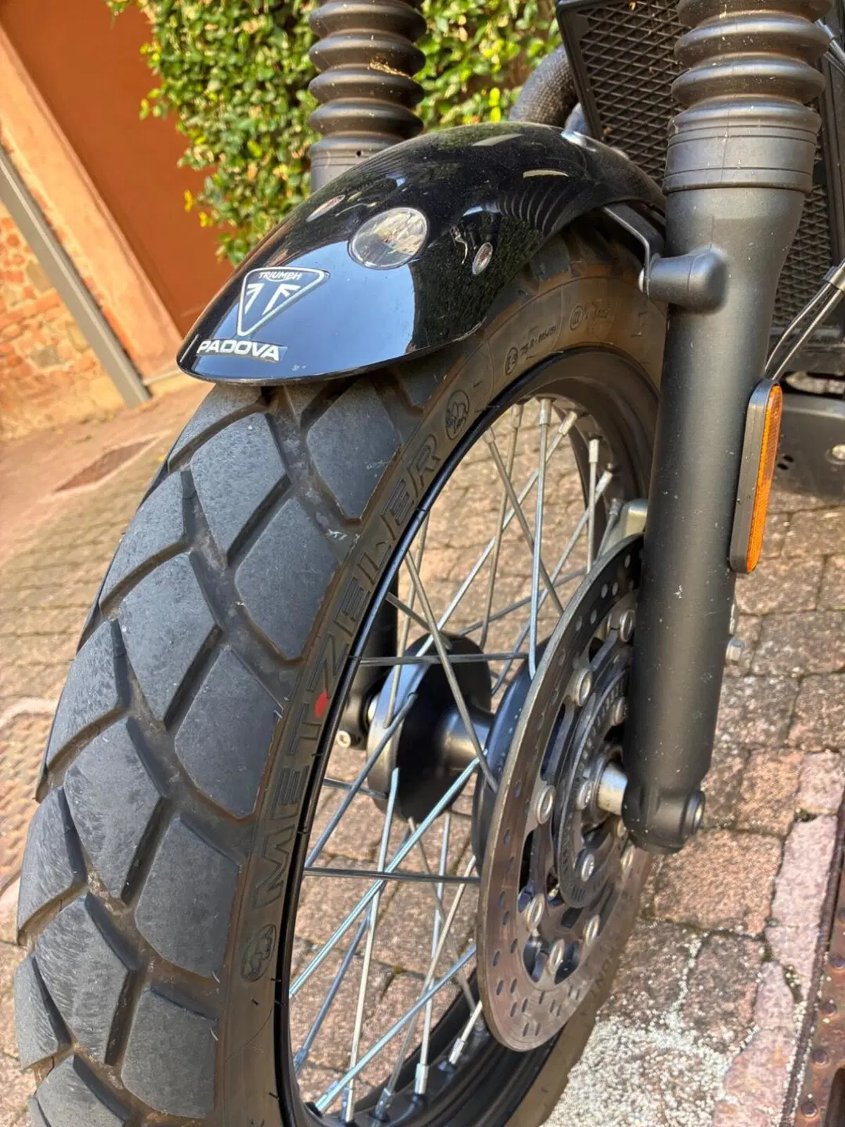 Triumph Street Scrambler 900 (2019 - 20) (7)