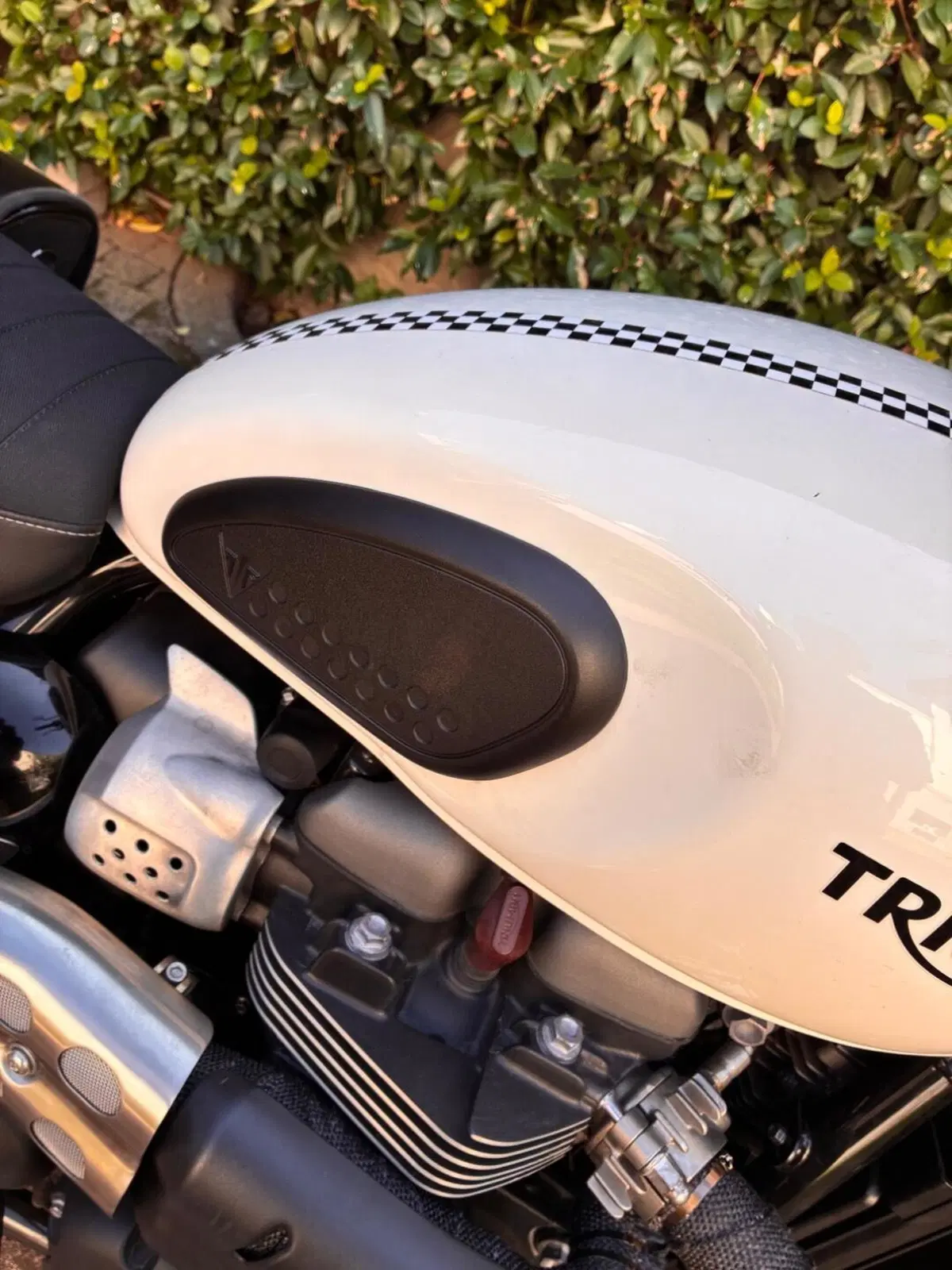Triumph Street Scrambler 900 (2019 - 20) (8)