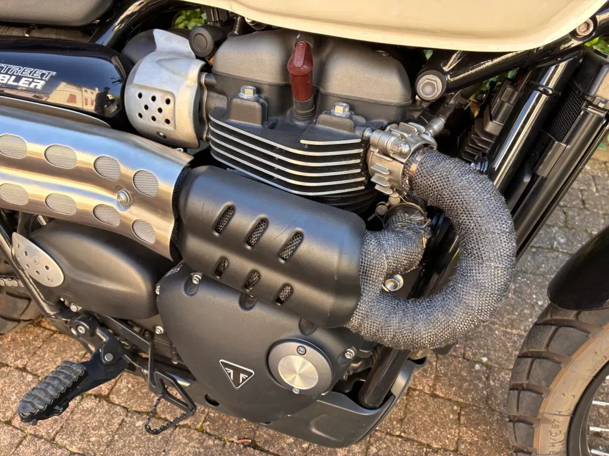 Triumph Street Scrambler 900 (2019 - 20) (9)
