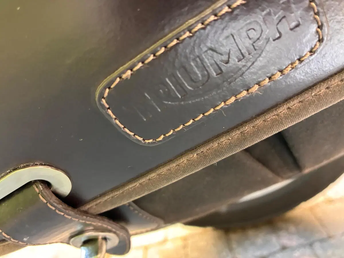 Triumph Street Scrambler 900 (2019 - 20) (10)