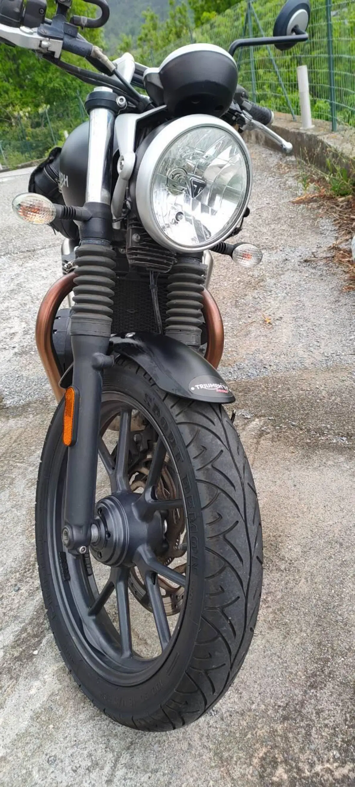 Triumph Street Twin 900 (2017 - 18) (3)
