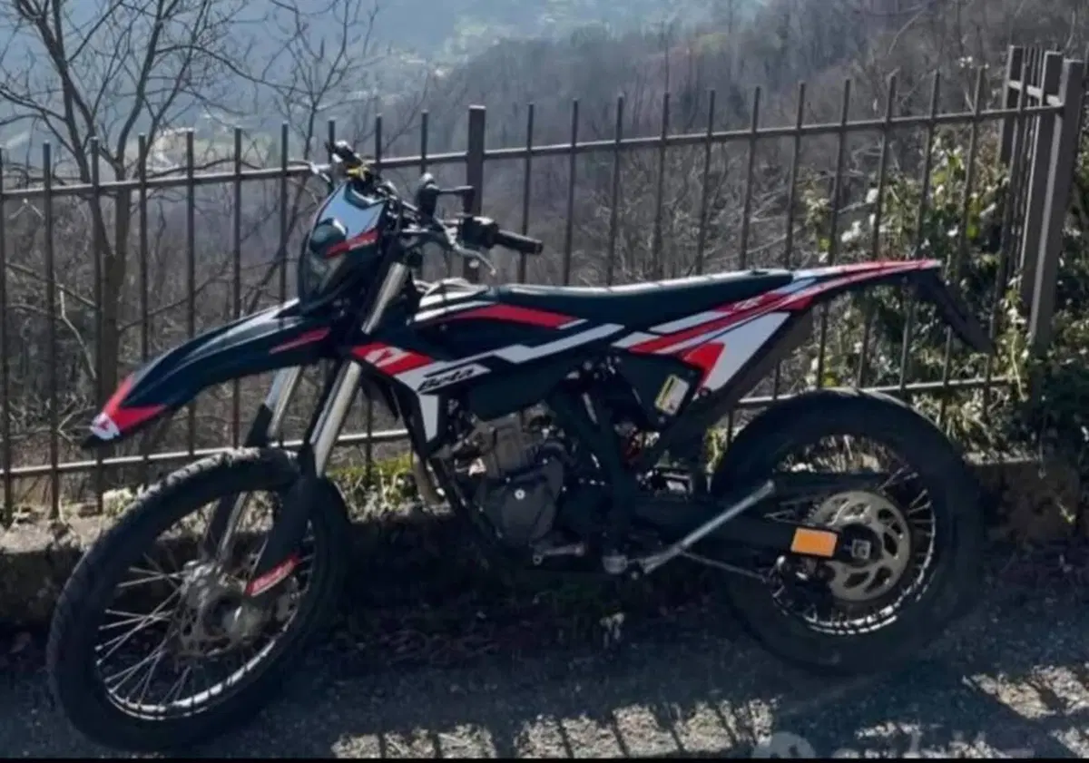 Betamotor RR 125 4T Enduro R (2024 - 26) (5)