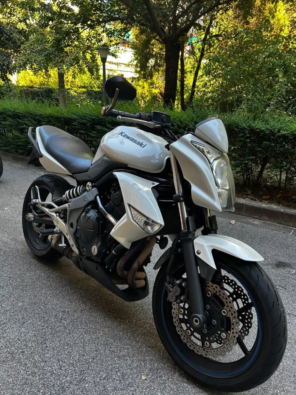 Kawasaki ER-6N (2009 - 11) (5)
