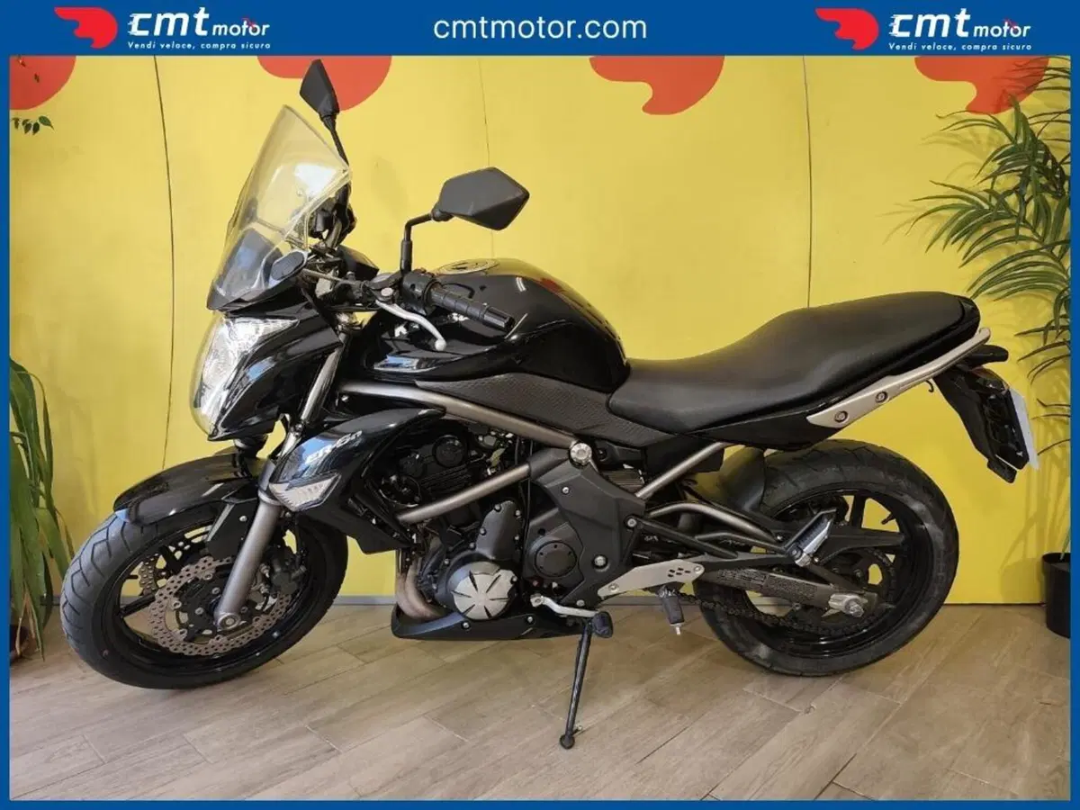 Kawasaki ER-6N (2012 - 13) (3)