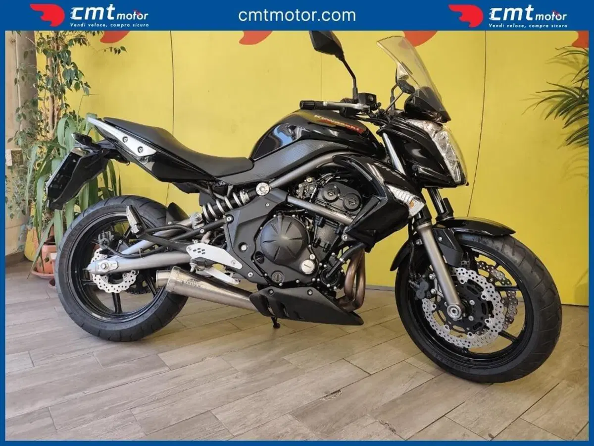 Kawasaki ER-6N (2012 - 13) (6)