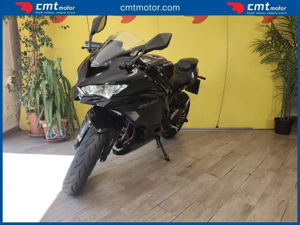 Kawasaki Ninja ZX-4R (2024 - 26) (2)