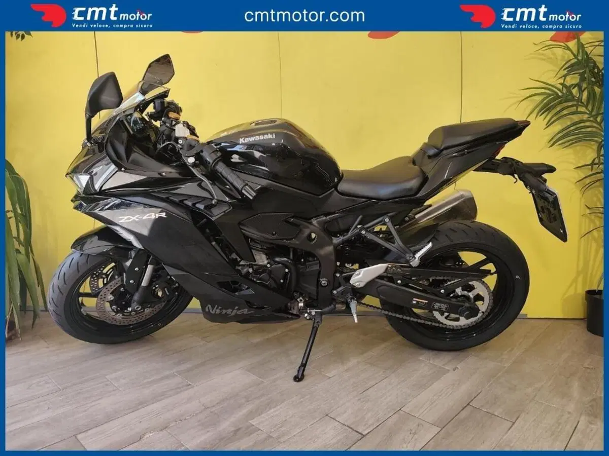 Kawasaki Ninja ZX-4R (2024 - 26) (3)