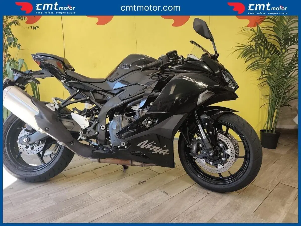 Kawasaki Ninja ZX-4R (2024 - 26) (6)
