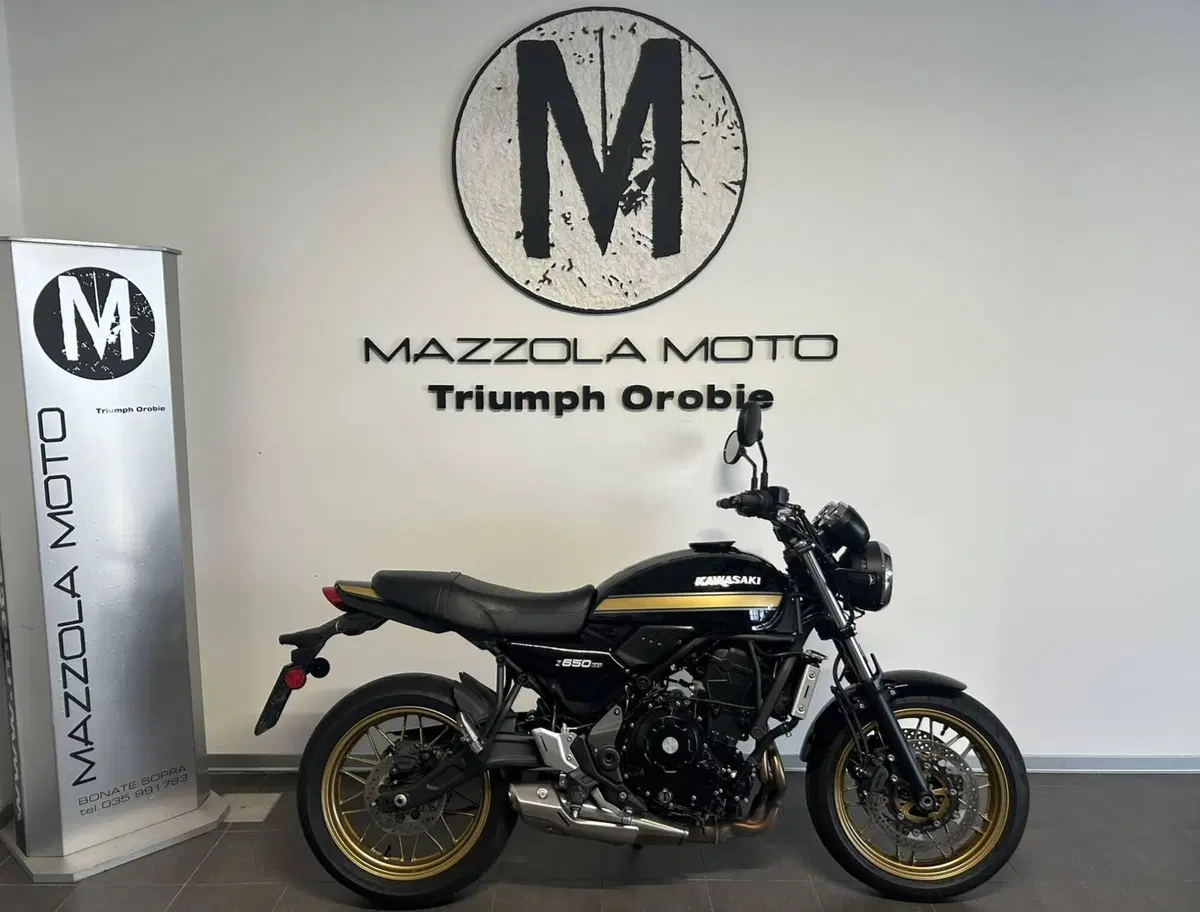Kawasaki Z 650 RS (2025 - 26)