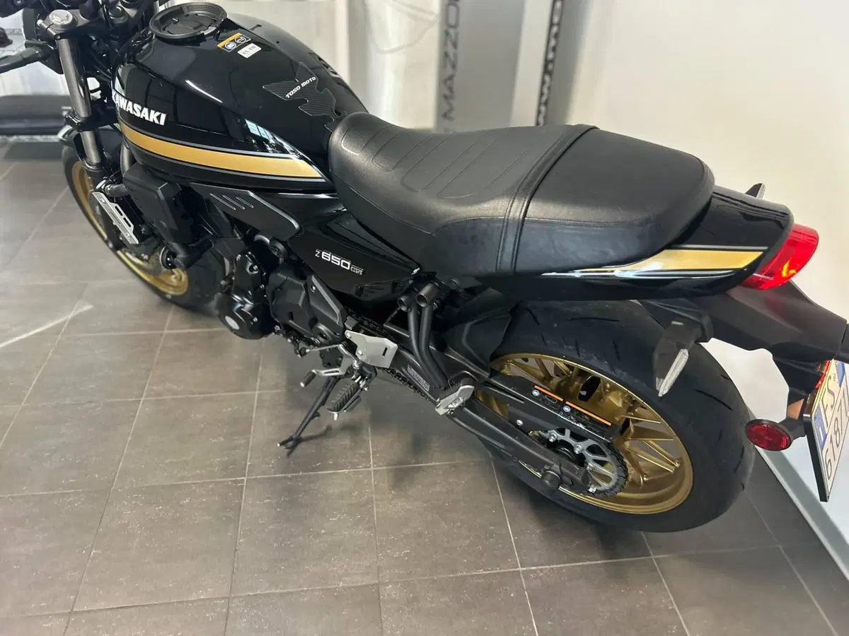 Kawasaki Z 650 RS (2025 - 26) (7)